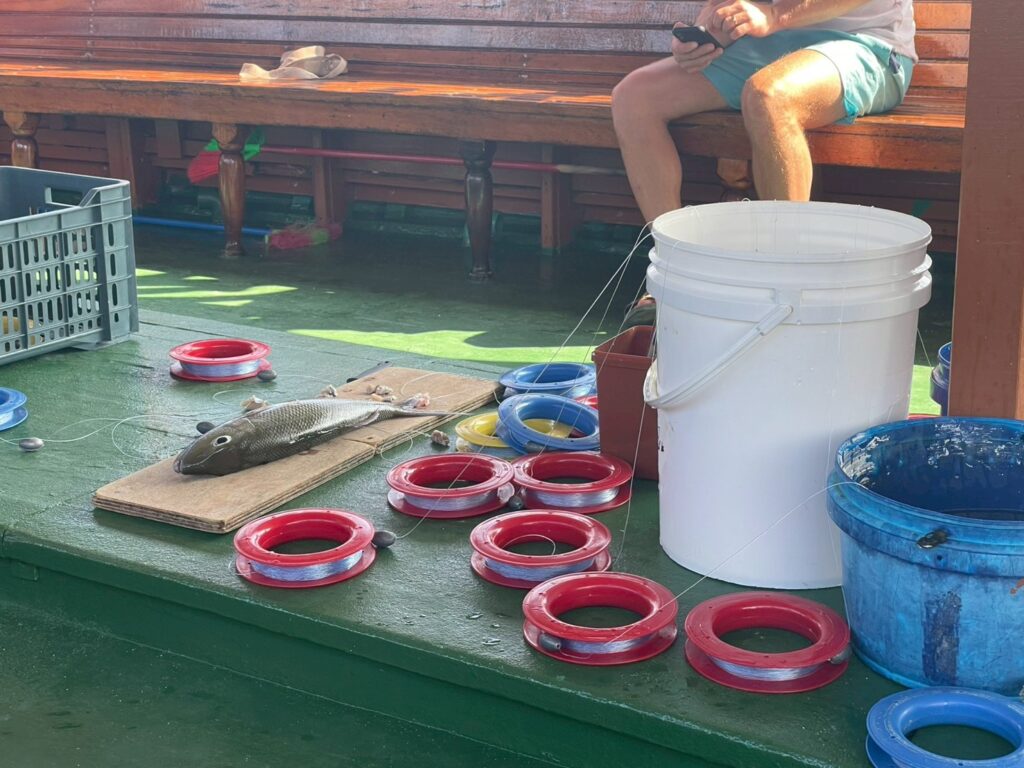 トラディショナルフィッシング